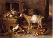 unknow artist poultry  188 oil painting reproduction